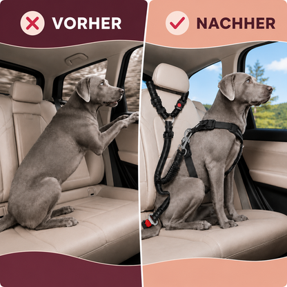 Hunde Anschnallgurt – sicherer Transport im Auto