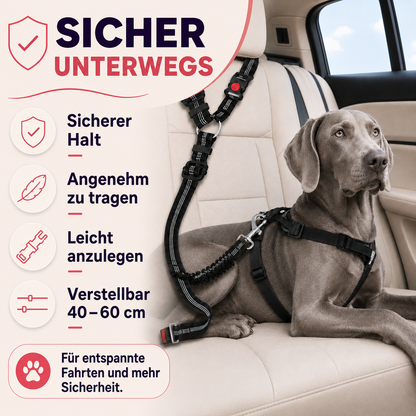 Hunde Anschnallgurt – sicherer Transport im Auto