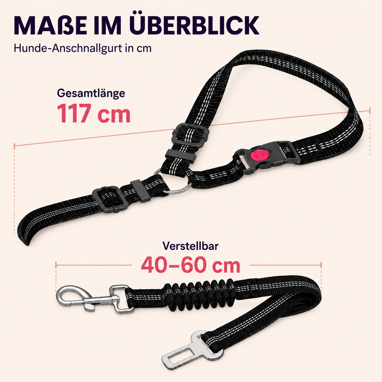 Hunde Anschnallgurt – sicherer Transport im Auto