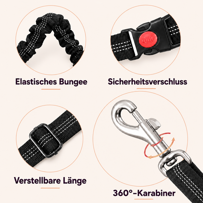 Hunde Anschnallgurt – sicherer Transport im Auto
