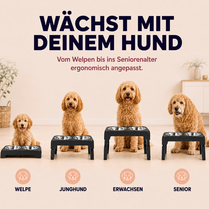 Höhenverstellbarer Futternapf – ergonomisch füttern
